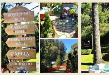 WhatsApp Image 2025-11-12 at 11.02.00