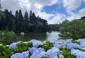 WhatsApp Image 2026-01-08 at 14.17.04